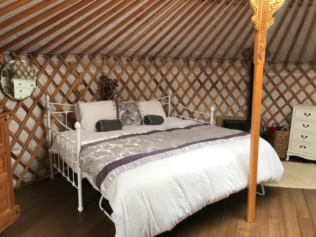 Buzzard Holt Hosting Hotell Buckingham Eksteriør bilde