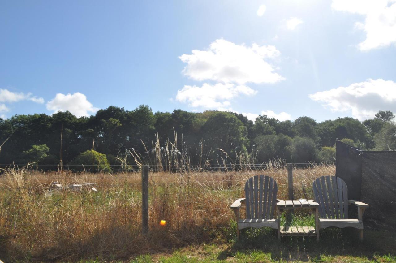 Buzzard Holt Hosting Hotell Buckingham Eksteriør bilde